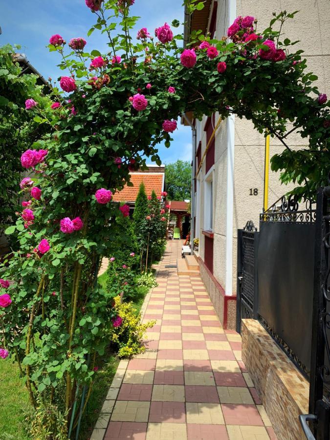 Casa Mary Hotel ฮาเซก ภายนอก รูปภาพ